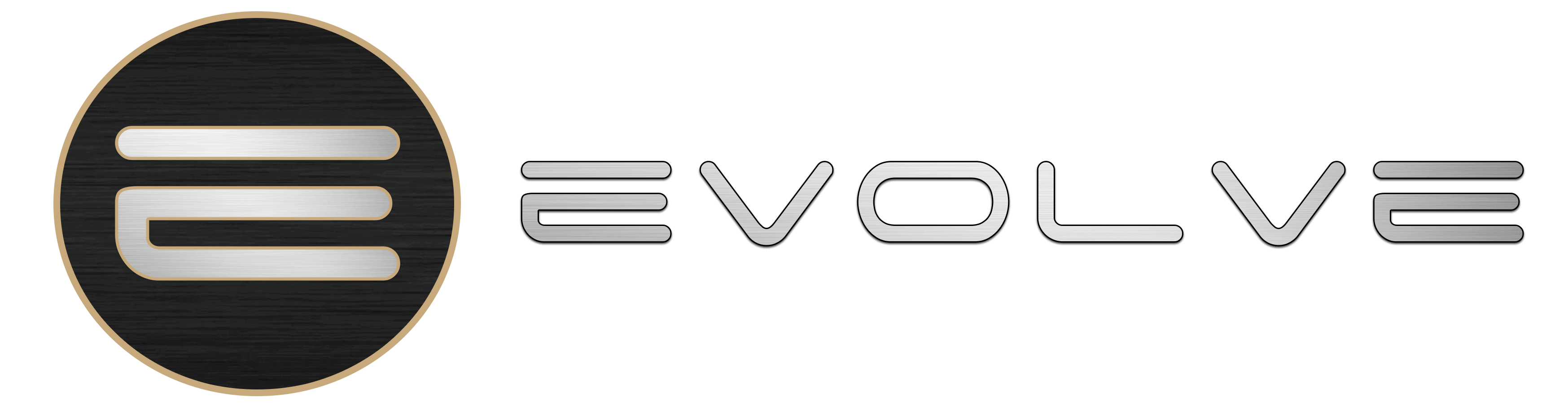 Evolve Websites